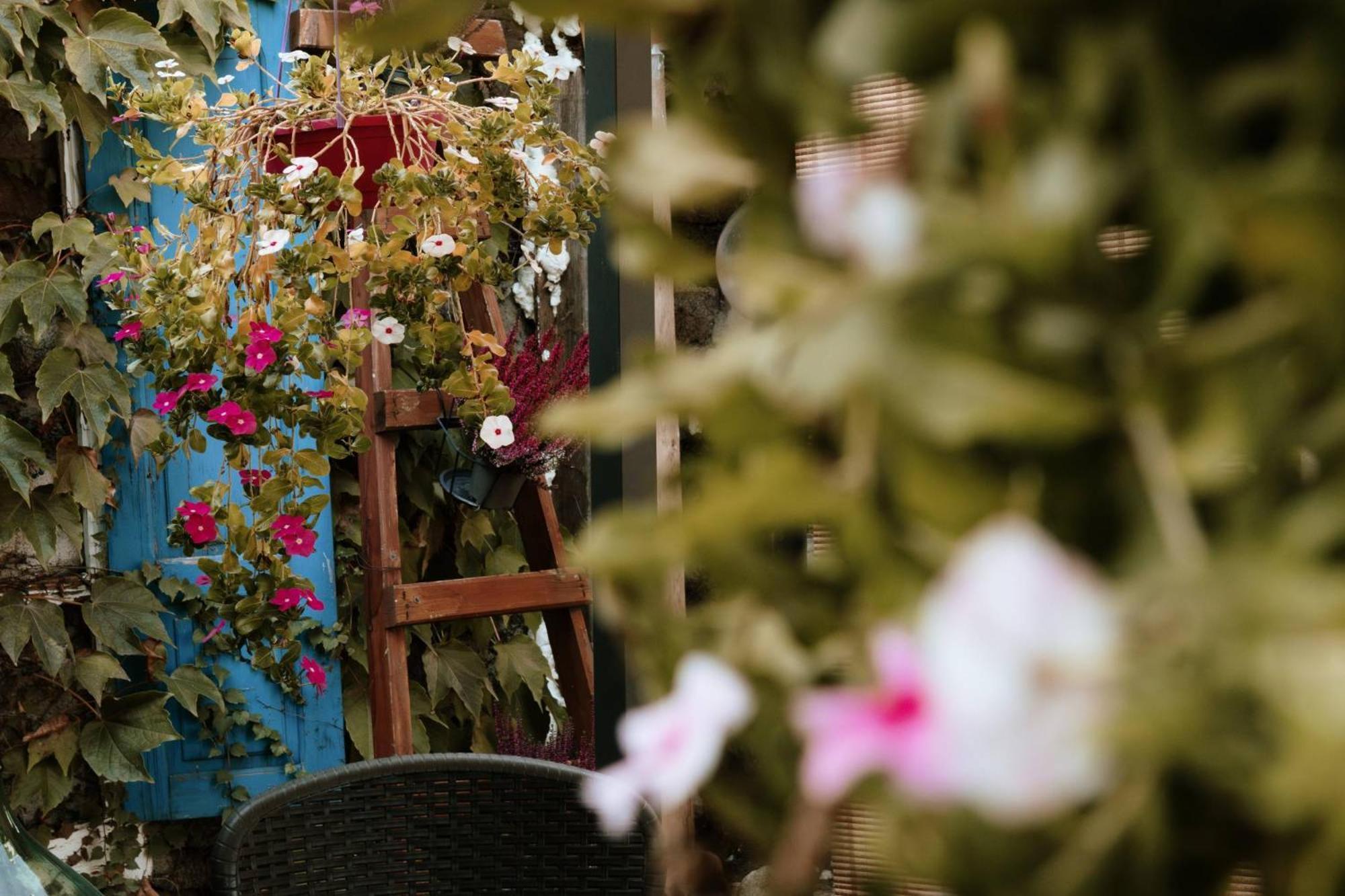 B&B San Francesco Oliena Extérieur photo